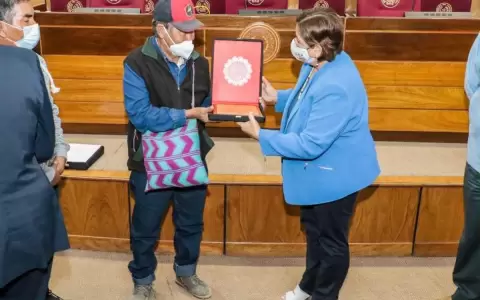 "Apenas el sol" recibe homenaje de la C�mara de Senadores