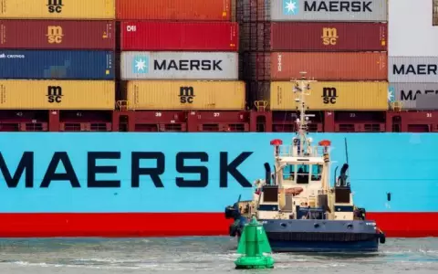 Las incre�bles ganancias de las grandes navieras en medio de la "crisis de los contenedores"