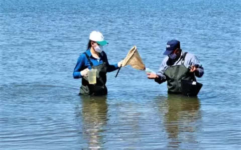 Yacyret� monitorea calidad del agua en zonas tur�sticas de Itap�a