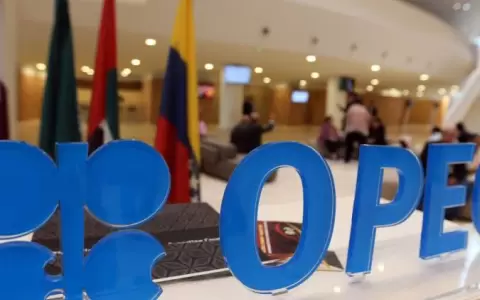 Alianza de pa�ses presiona a la OPEP usando reservas de petr�leo