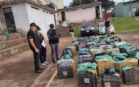 Hallan m�s de 2.400 kilos de marihuana en cami�n abandonado