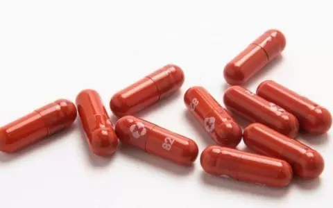 Molnupiravir: c�mo funcionar� la pastilla para tratar la covid-19 aprobada por Reino Unido