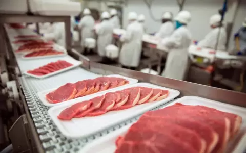 "Suba de la carne se da por especulaci�n en el mercado interno", dice economista