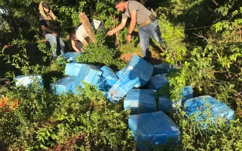 Senad confisca cerca de 700 kilos de marihuana en Itap�a