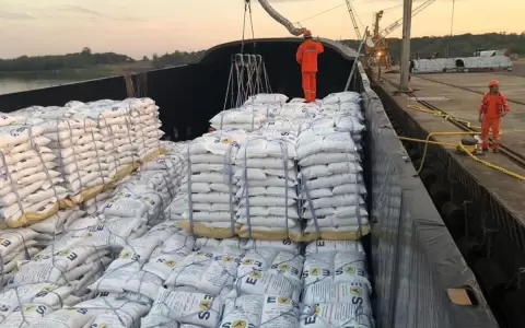Exportaciones caminan a cerrar un a�o hist�rico