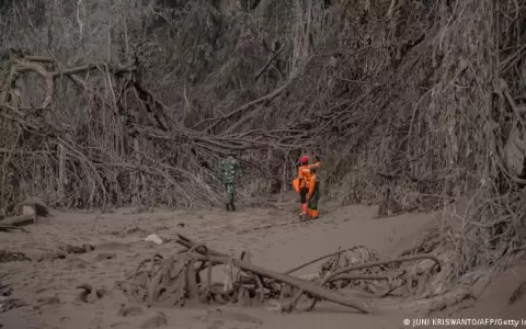 Indonesia: erupci�n del volc�n Semeru deja ya 34 muertos
