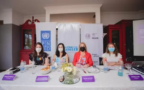 Estudio revela p�simo sistema de informaci�n sobre feminicidio entre instituciones