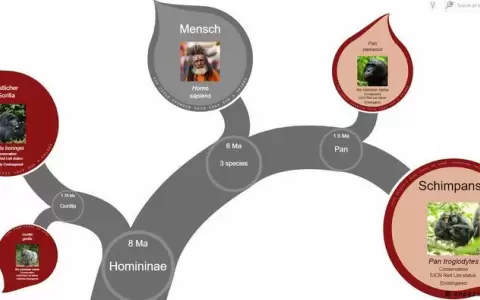 �El �rbol virtual de la vida� muestra c�mo las especies est�n relacionadas entre s�