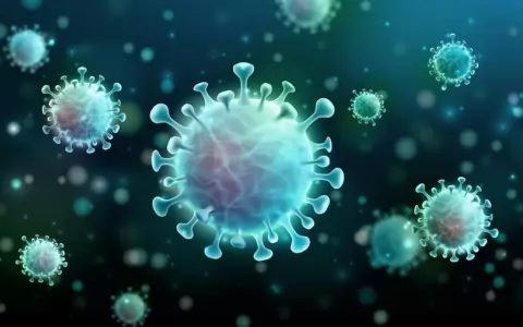 �micron: 5 buenas noticias para acabar el a�o