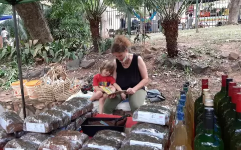 Feria con productos del campo y artesan�as en la plaza Italia