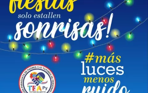 �M�s luces, menos ruidos�, la campa�a que busca concientizar sobre el uso de pirotecnia en las fiestas