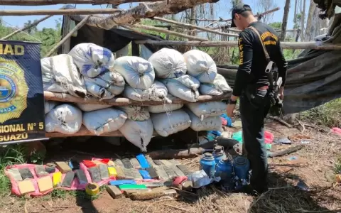 Hallan m�s de 1.500 kilos de marihuana en campamento narco