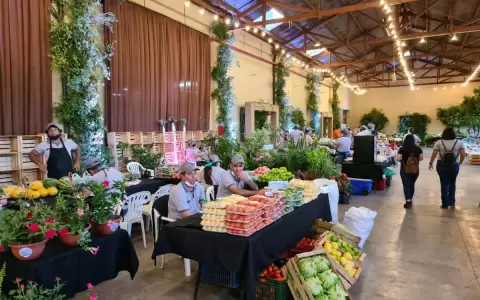 Feria "De la Chacra a tu Mesa" hasta las 17:00