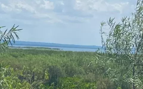 Cordillera: exigen a MADES suspender obras en zona de humedales del lago Ypacara�