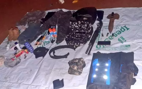 Tras baja y detenidos, �ACA-EP podr�a acabarse�, sostienen