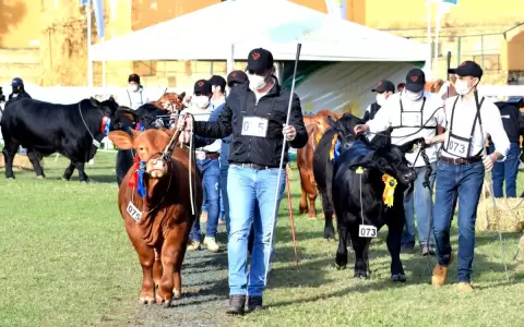 Remates Brangus movieron m�s de G. 8.500 millones en el a�o