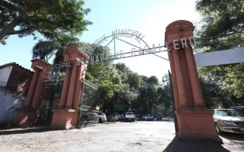 Delincuente agrede salvajemente a una mujer para robarle sus pertenencias