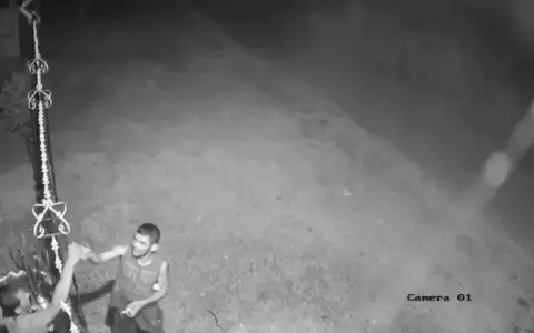 �Ni los pesebres se salvan de la inseguridad!