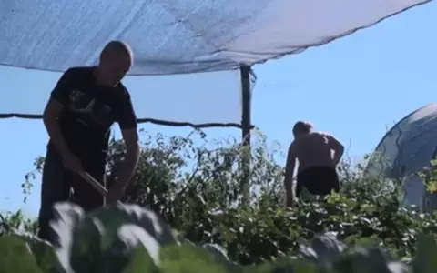Alemanes buscan refugio en Paraguay para no vacunarse contra el Covid-19