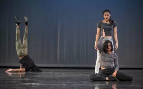 Doce obras breves en muestra de direcci�n teatral de la EMAD