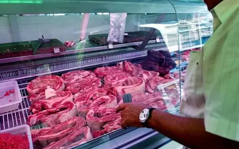 Plan A�ua no incluye carne para asado: �No es para los muchachos, sino para amas de casa�