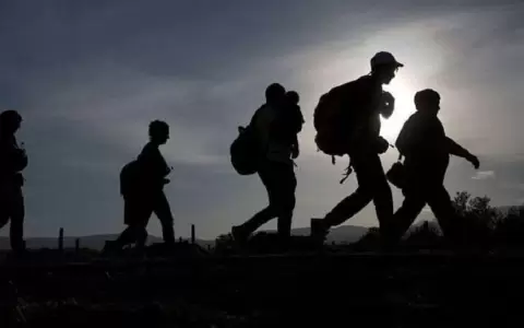 Creci� la migraci�n internacional, pese a restricciones por el coronavirus