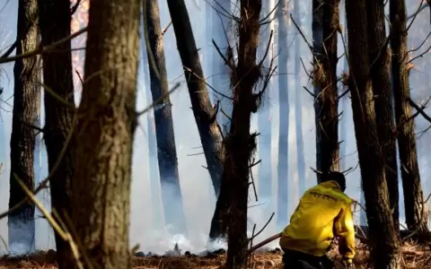 Argentina afectada por incendios en varios puntos del pa�s