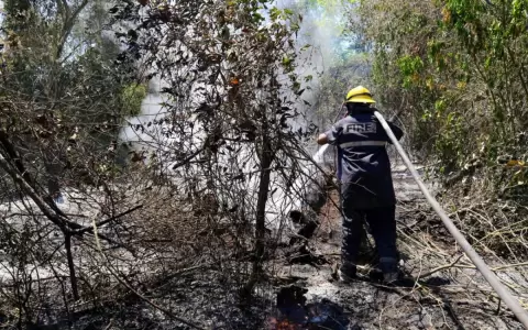 Un �infierno� llamado Paraguay: incendios, calor y sequ�a no dan tregua