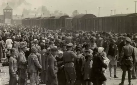 Holocausto: los 90 minutos en que los nazis decidieron "soluci�n final a la cuesti�n jud�a"