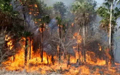 Reportan 3.354 focos de incendio en las �ltimas 24 horas
