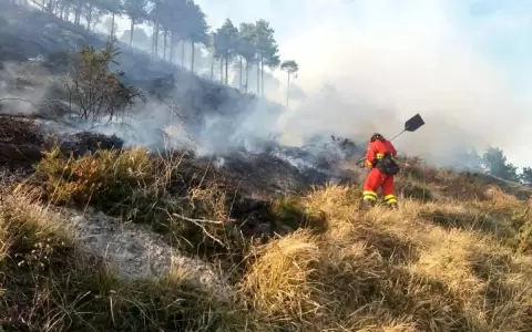 Focos de incendios podr�an continuar hasta finales de febrero, advierten