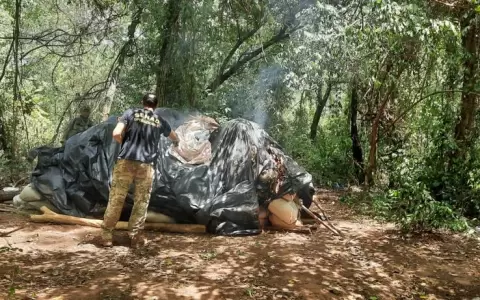Hallan 6 toneladas de marihuana tras controles y patrullajes en Amambay