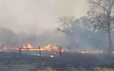 Recomendaciones sanitarias ante ola de incendios: qu� hacer y c�mo cuidarse