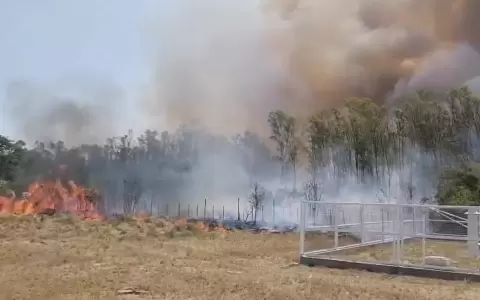Incendio forestal en la zona del aeropuerto de Pilar