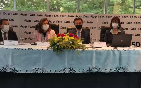 AFD desembols� USD 311,6 millones para diversos sectores econ�micos en 2021