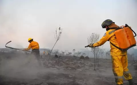 �reas protegidas de Alto Paran� y Canindey� en serio peligro por incendios