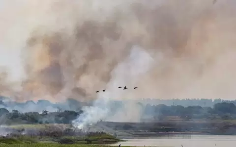 No se registraron focos de calor en las �ltimas 24 horas