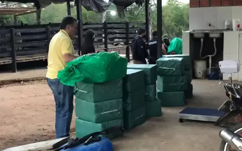 Incautan casi 1.000 kilos de coca�na y capturan a l�der narco, hijo de ex diputado