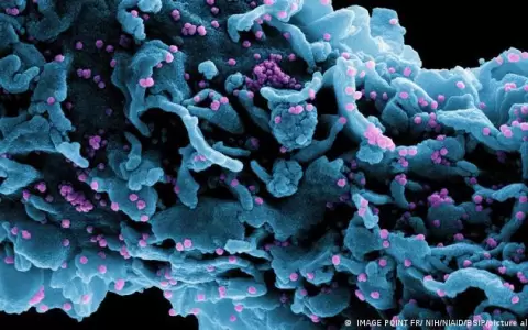 Descubren una nueva variante del coronavirus en Francia