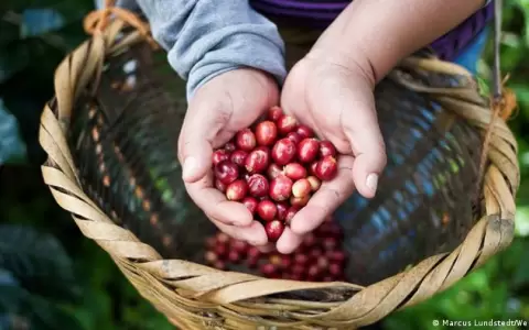 Nuevas barreras de China a importaci�n de bebidas y alimentos generan incertidumbre global
