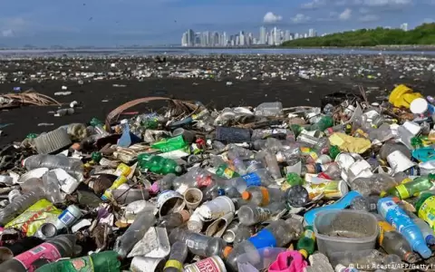 WWF alerta sobre masivos residuos pl�sticos en todos los oc�anos