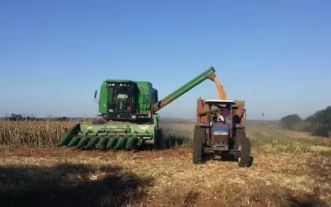 Reci�n en el 2023 se ver� recuperaci�n econ�mica para el campo, seg�n UGP