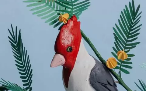 �Tekoveve�, muestra de artesan�a en el Parque Caballero