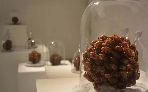 Nocturno abisal: a partir de "Restos del futuro", de Karina Yaluk