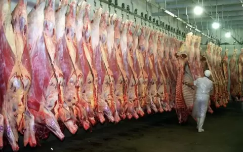 Incremento de faena y de exportaci�n de carne en enero, pero precio interno sigue alto
