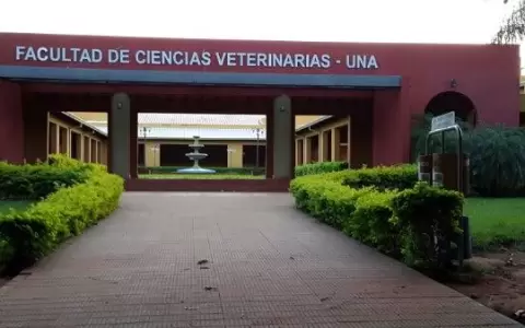 Facultad de Veterinaria: tras falla del sistema en examen online, apelan a la presencialidad