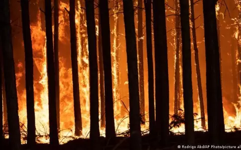 Lluvias alivian incendios en Argentina, que espera ayuda internacional