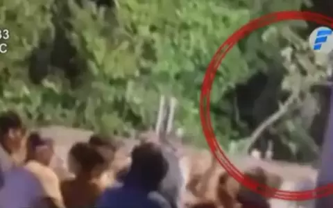 Salen a la luz nuevas im�genes de lo ocurrido en el anfiteatro