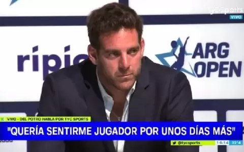 Juan Mart�n del Potro se despide del tenis