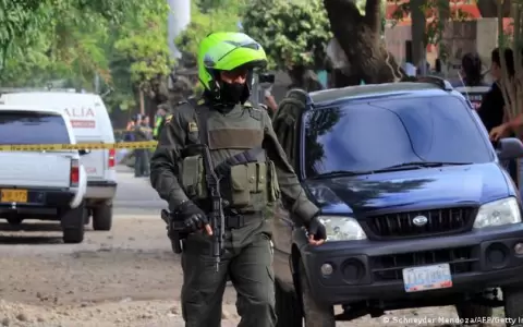 Comunidad internacional pide a grupos armados de Colombia un alto al fuego